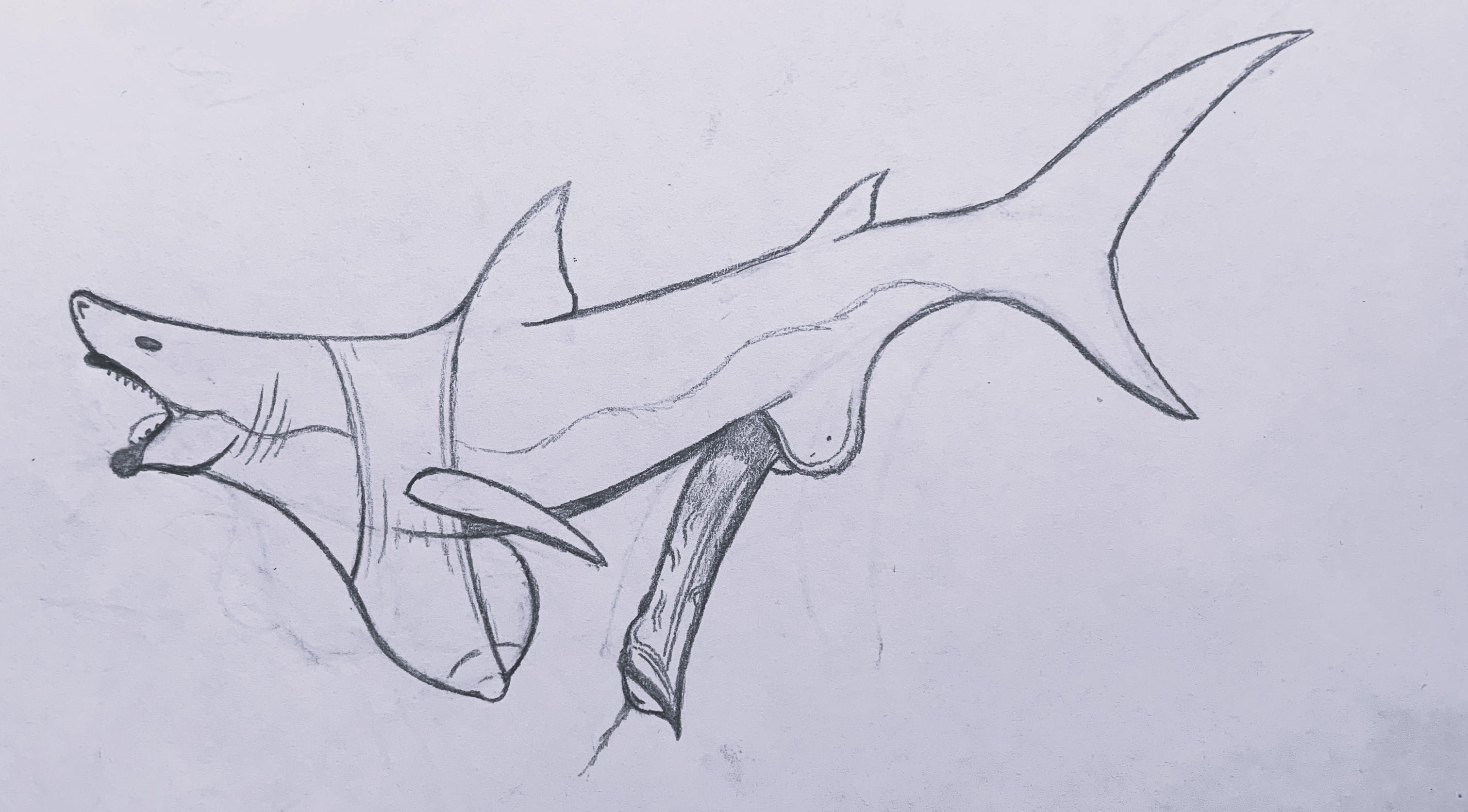 Animal Genitalia Rule 34 Image