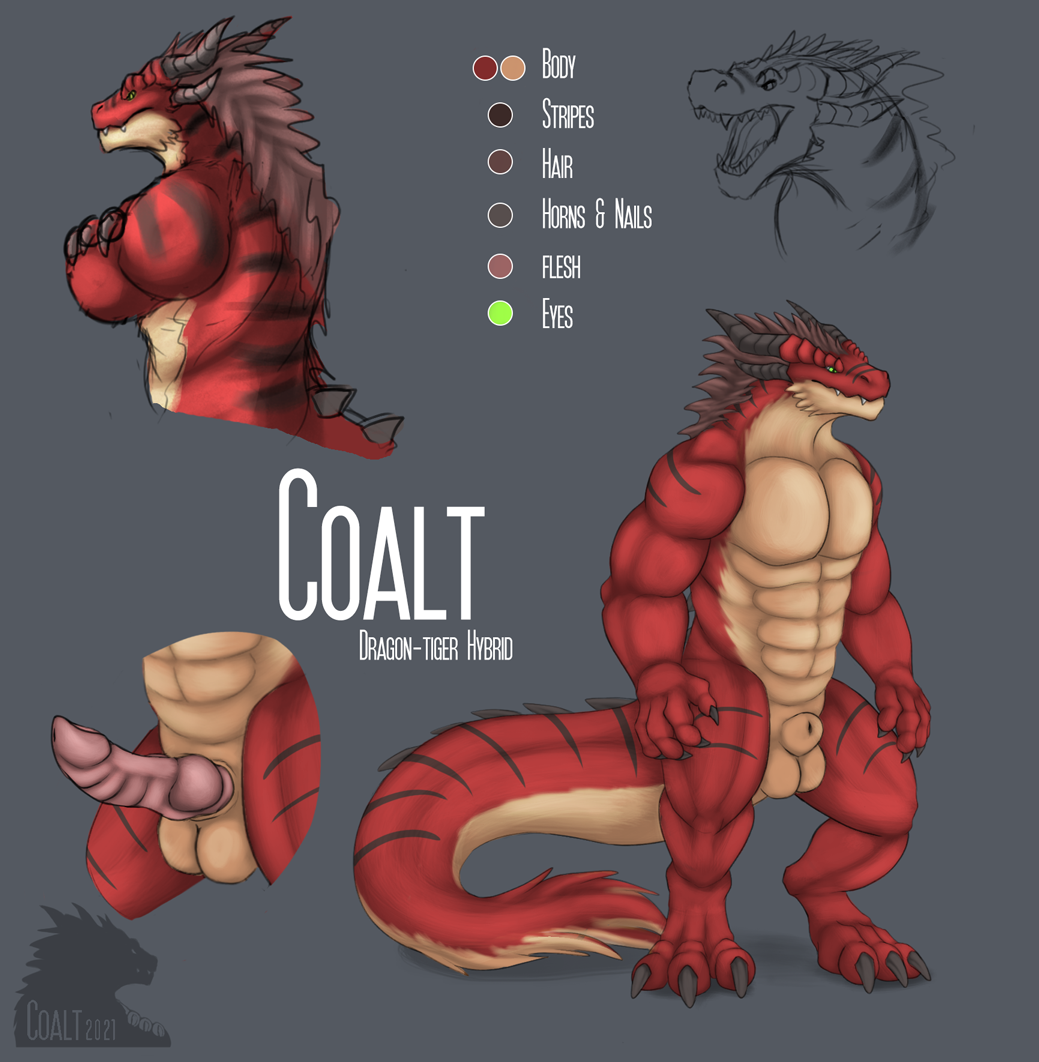 Coalt Rule 34 Image