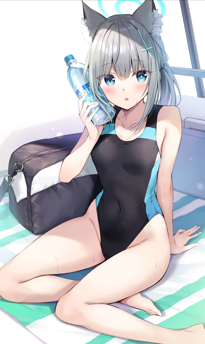 Shiroko (Blue Archive) Rule 34 Image