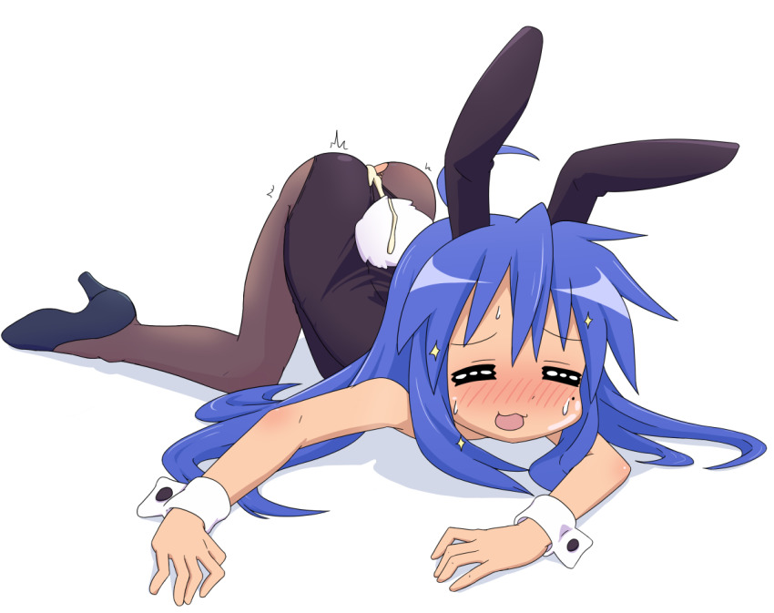 Izumi Konata Rule 34 Image