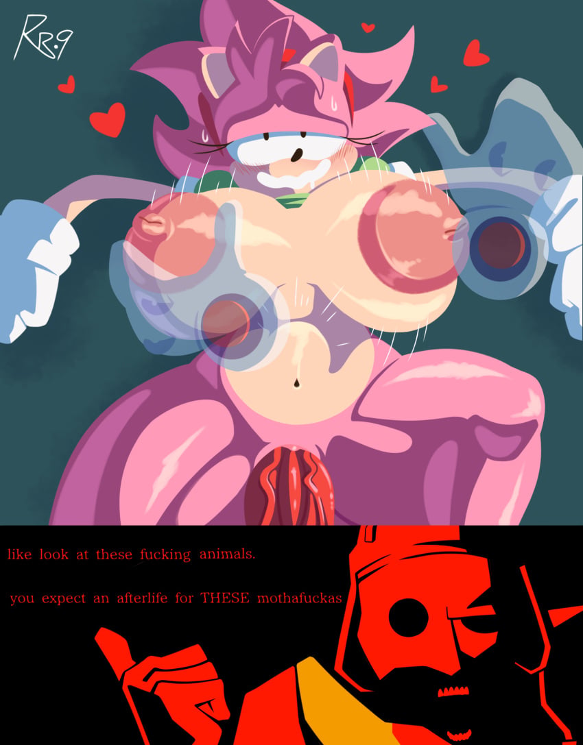 Amy Rose (Sonic (Series)) Rule 34 Image