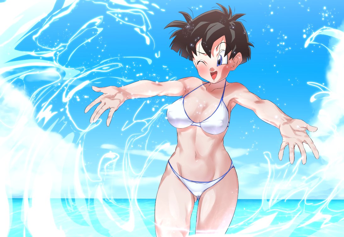 Videl (Dragon Ball) Rule 34 Image