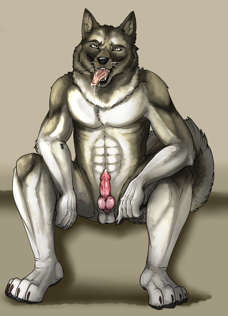 Animal Genitalia Rule 34 Image