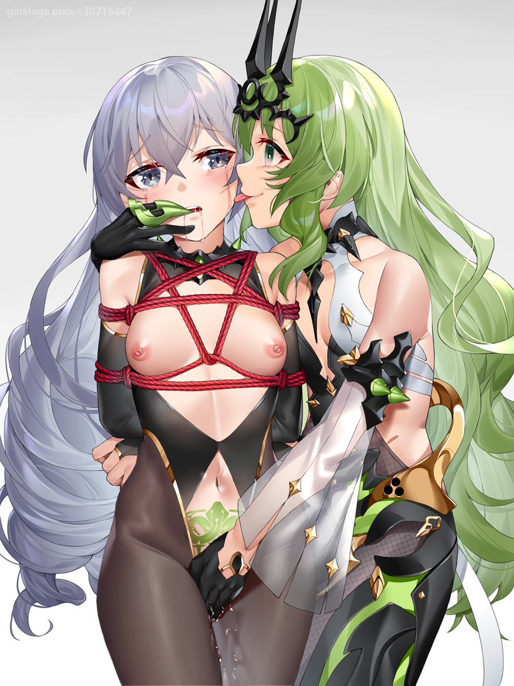 Bronya Zaychik (Honkai (Series)) Rule 34 Image