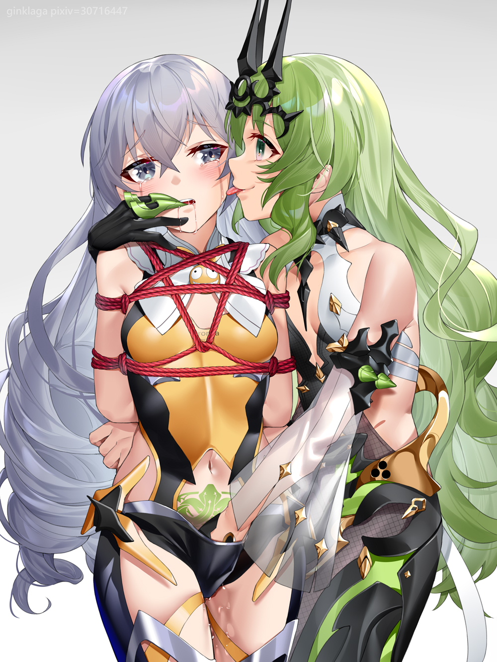 Bronya Zaychik (Honkai (Series)) Rule 34 Image