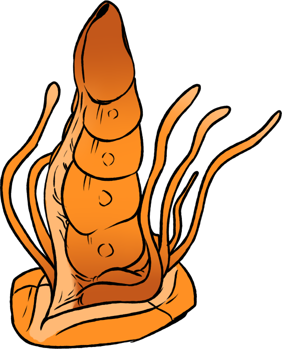 Disembodied Penis Rule 34 Image