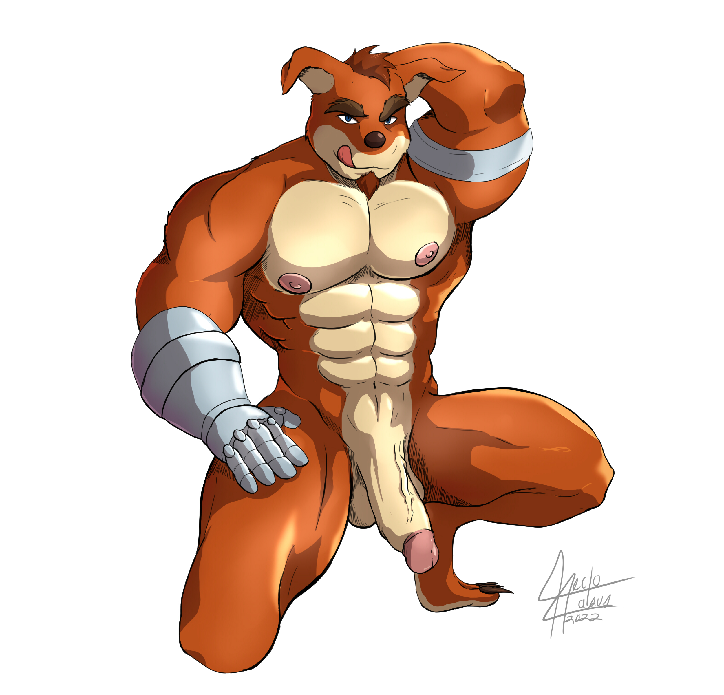 Crunch Bandicoot (Activision) Rule 34 Image
