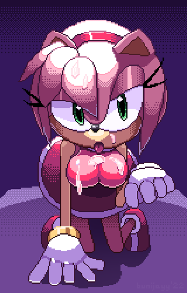 Amy Rose (Sega) Rule 34 Image