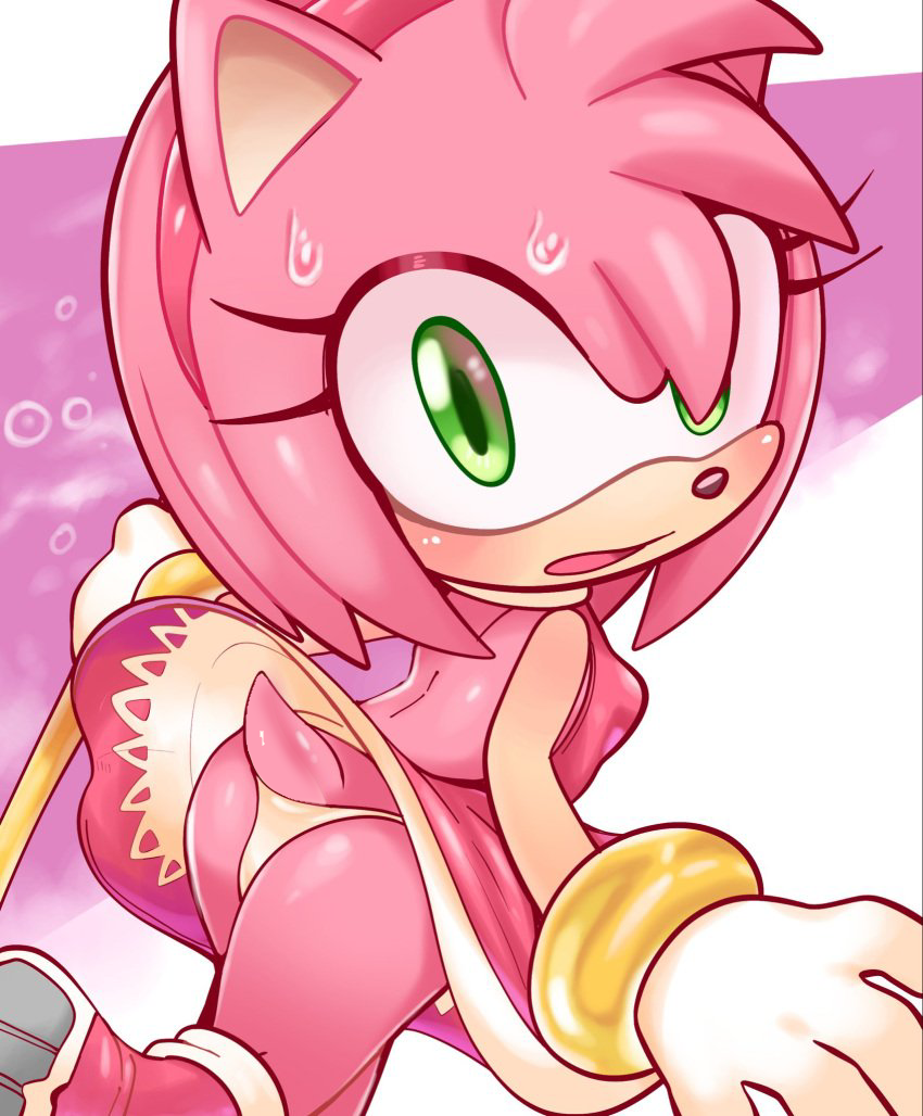 Amy Rose (Sega) Rule 34 Image