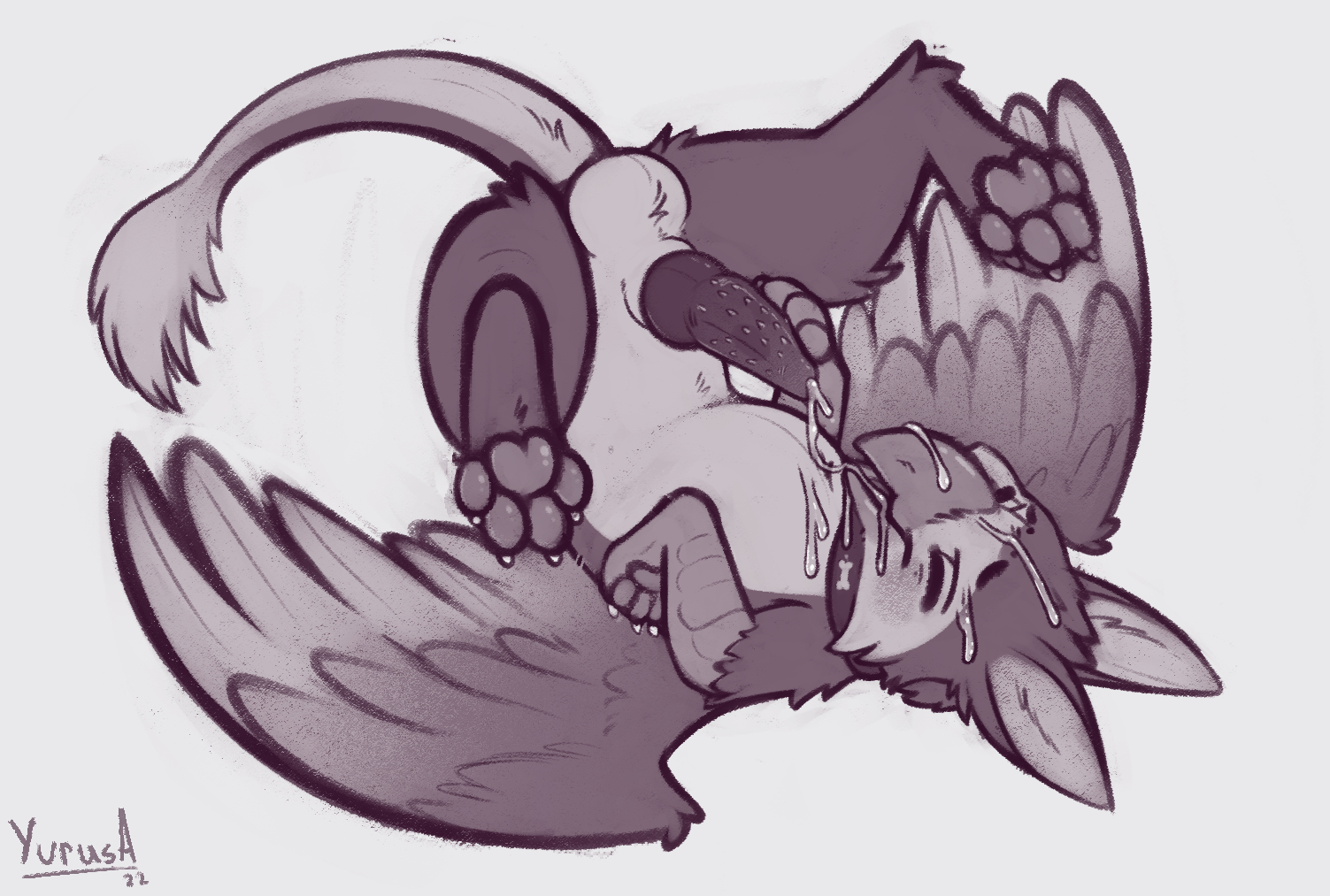 Zephyr (Bateleurs) Rule 34 Image