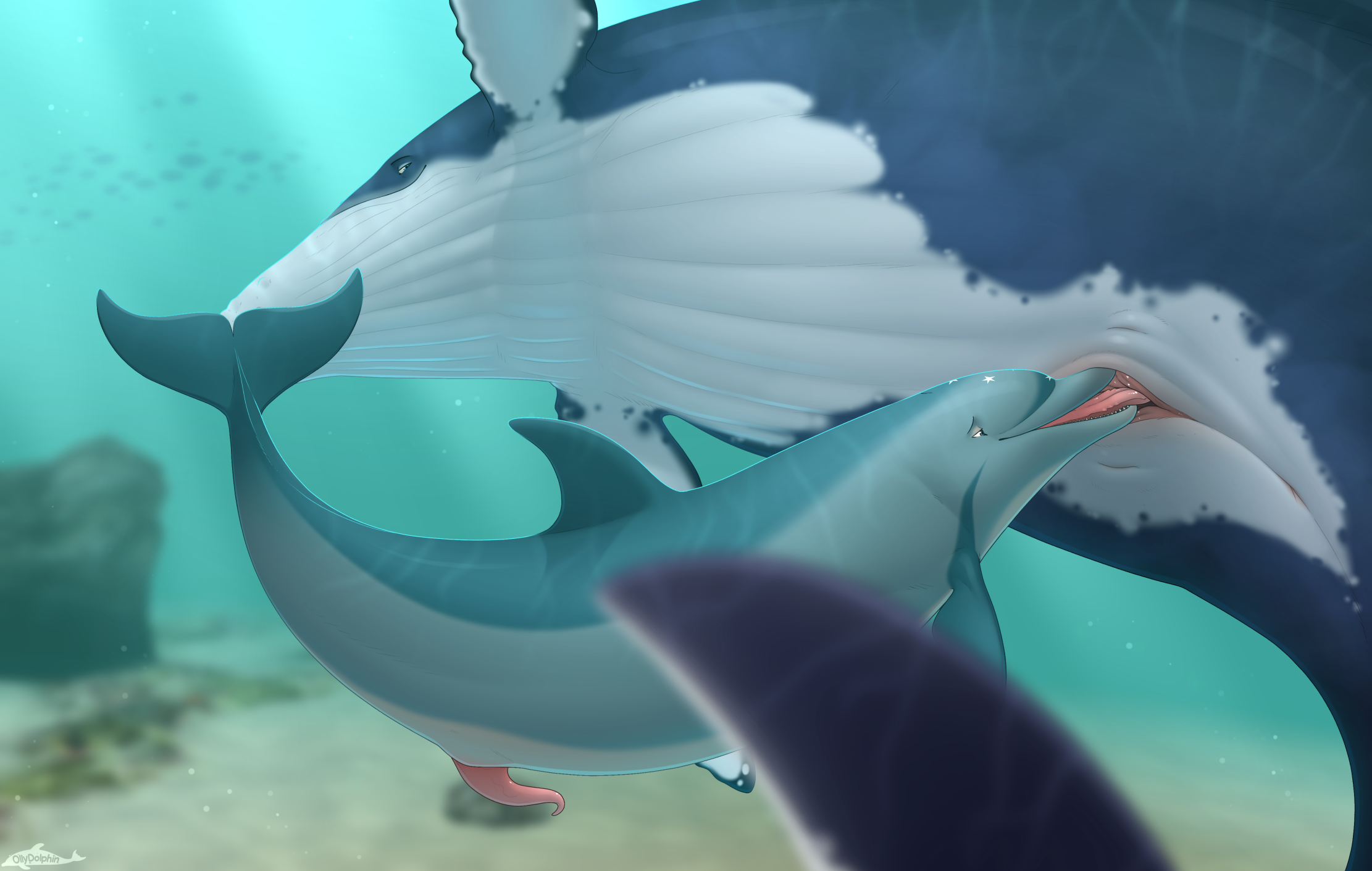 Ecco The Dolphin (Ecco The Dolphin (Series)) Rule 34 Image