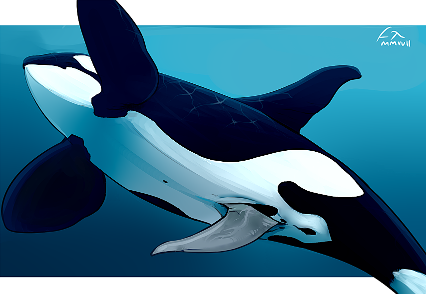 Animal Genitalia Rule 34 Image