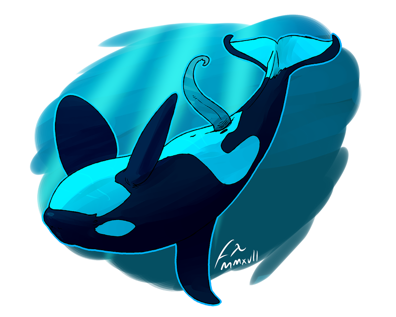 Animal Genitalia Rule 34 Image