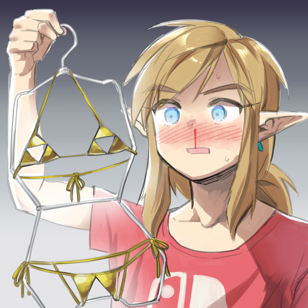 Link (Breath Of The Wild) Rule 34 Image
