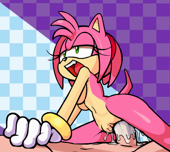 Amy Rose (Sonic (Series)) Rule 34 Image