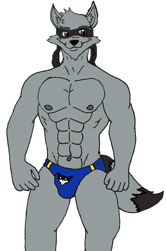 Sly Cooper (Sly Cooper (Series)) Rule 34 Image