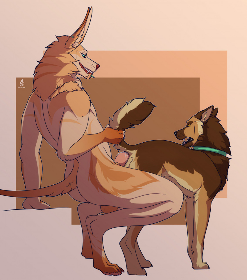 Aniel Rule 34 Image
