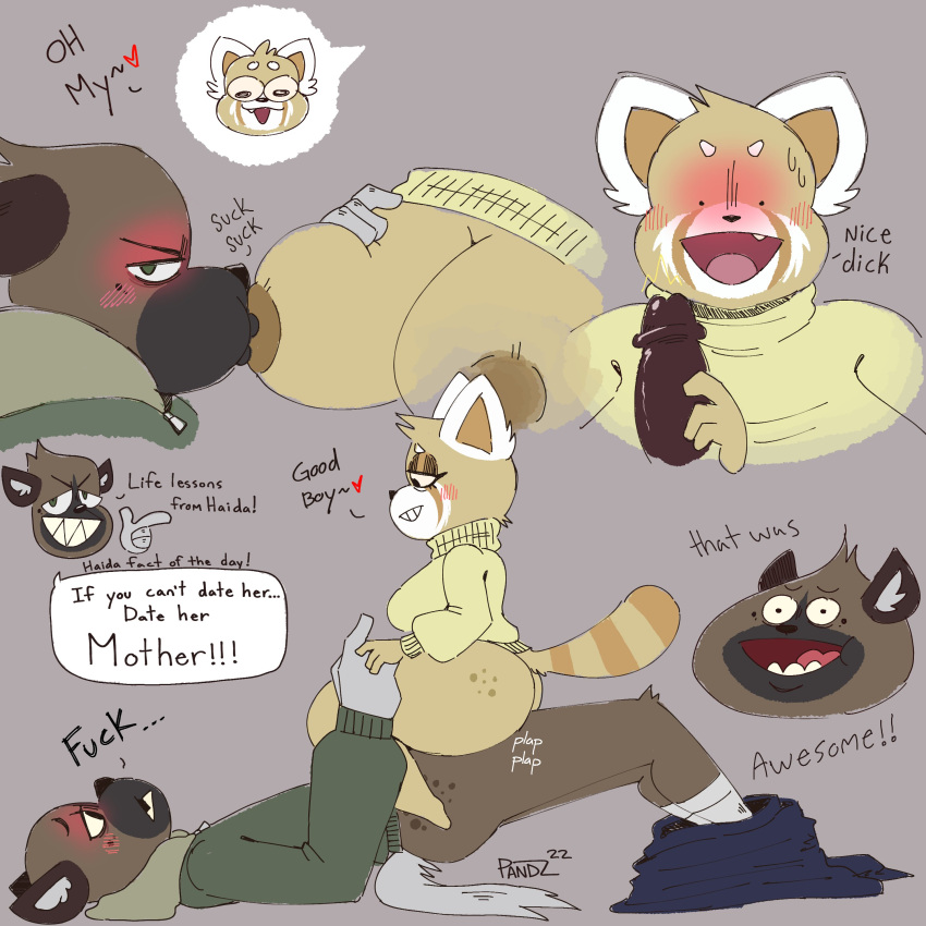 Haida (Aggressive Retsuko) Rule 34 Image