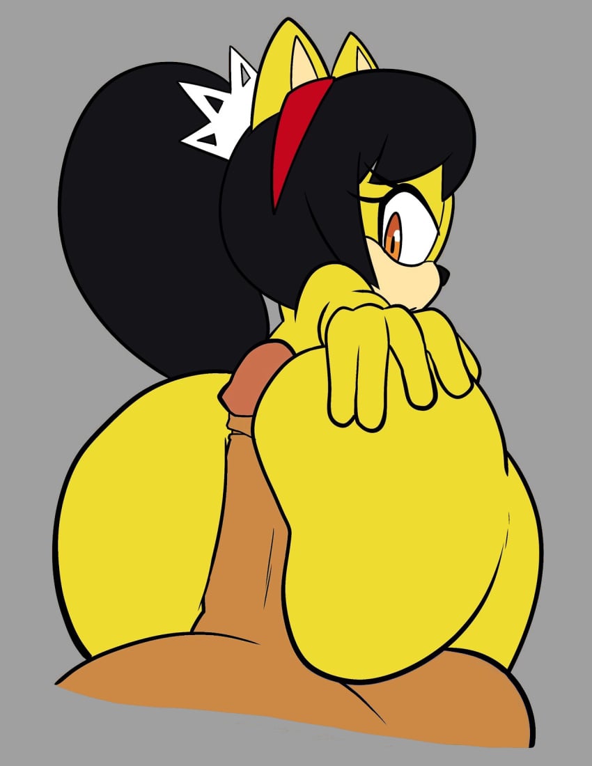 Honey The Cat (Sega) Rule 34 Image