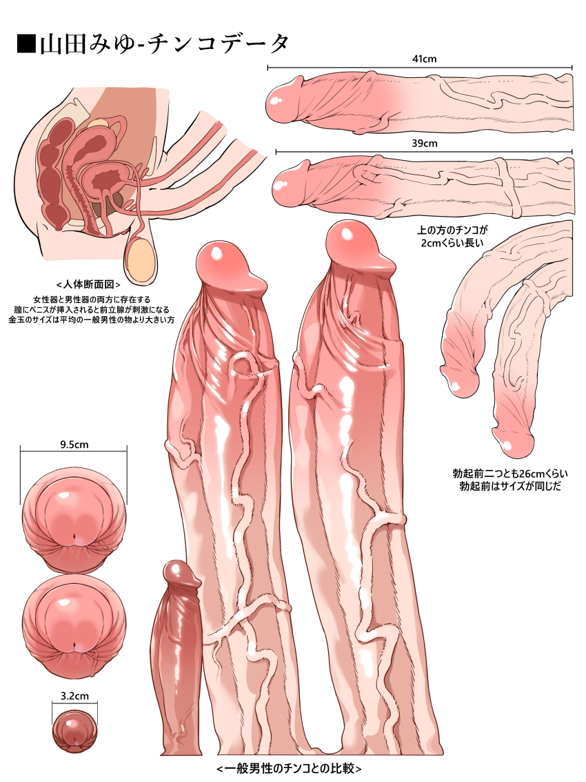 Gomu (Ujmu5458) Rule 34 Image