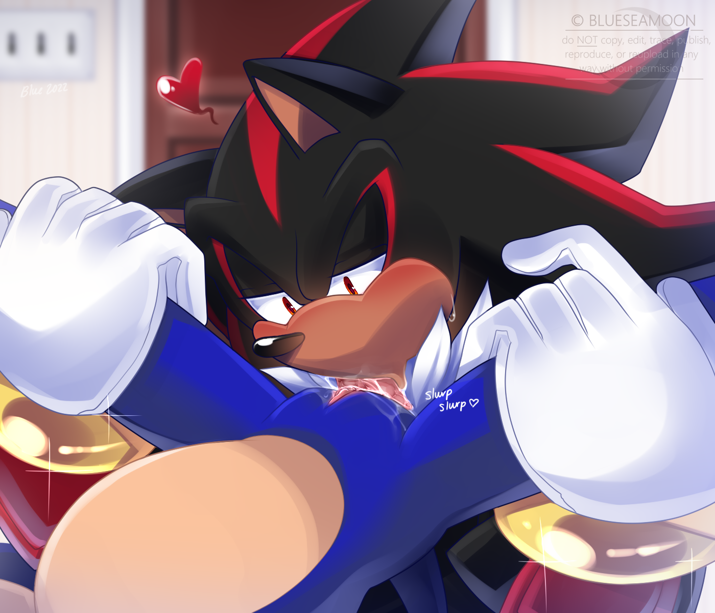 Shadow The Hedgehog (Sega) Rule 34 Image