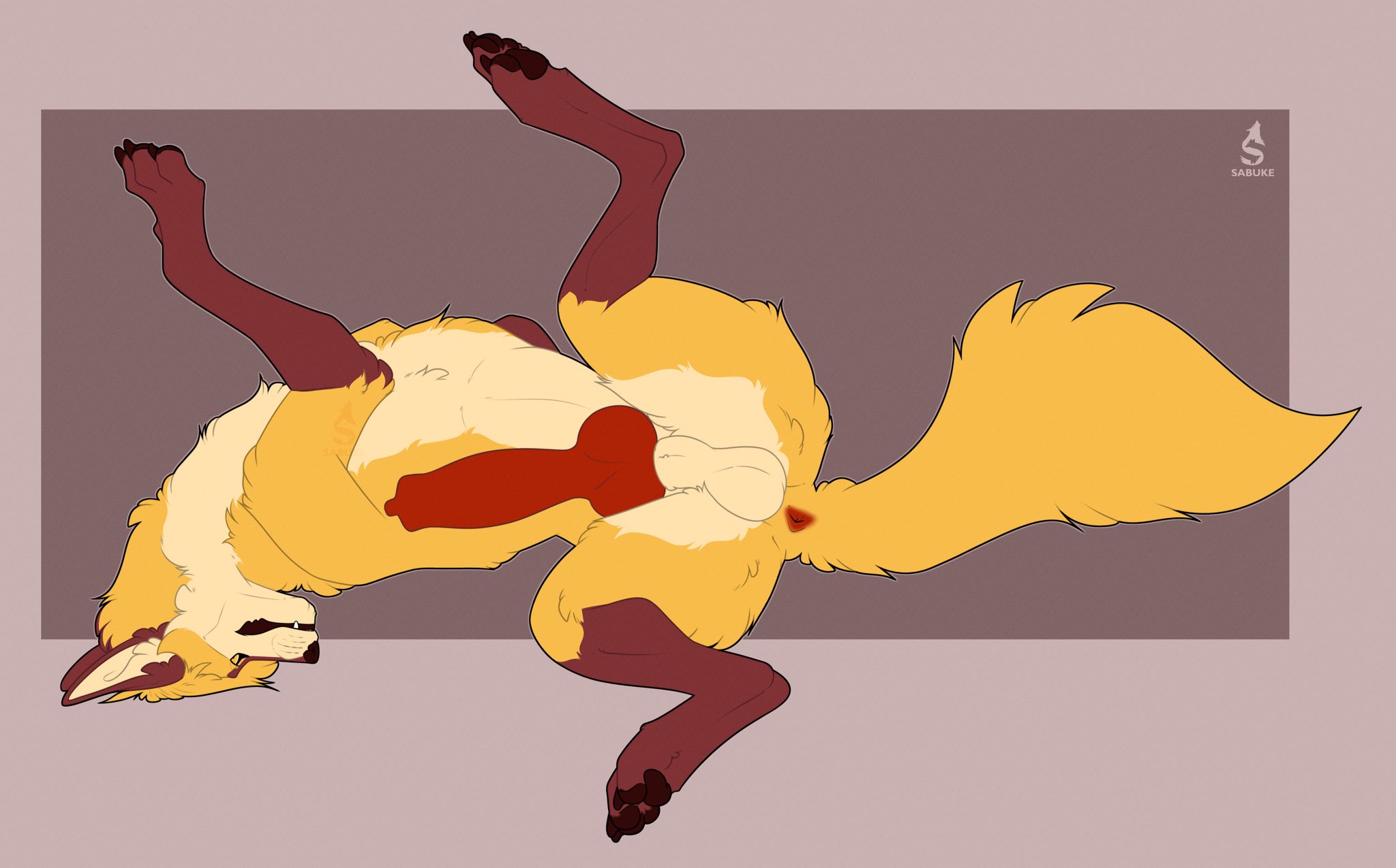 Animal Genitalia Rule 34 Image