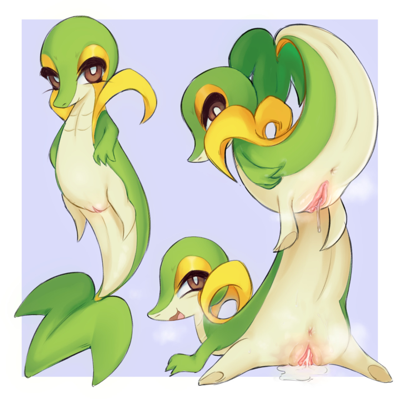 PokÉMon (Species) Rule 34 Image