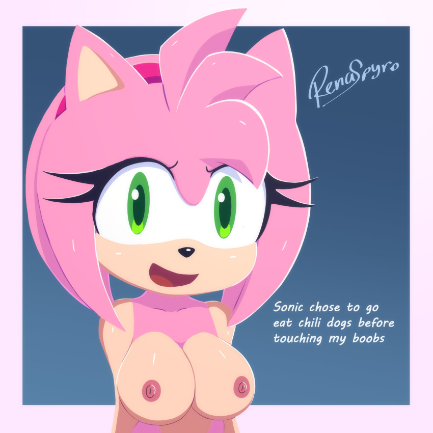 Amy Rose (Sonic (Series)) Rule 34 Image
