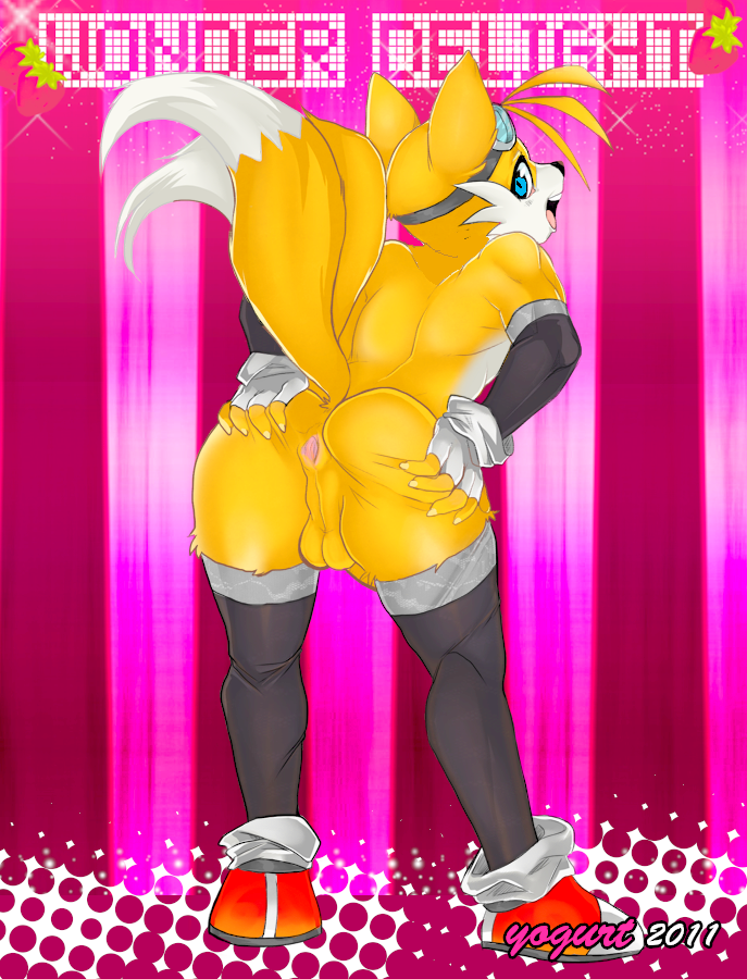 Miles Prower (Sega) Rule 34 Image
