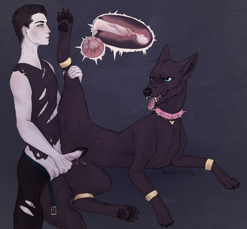 Animal Genitalia Rule 34 Image