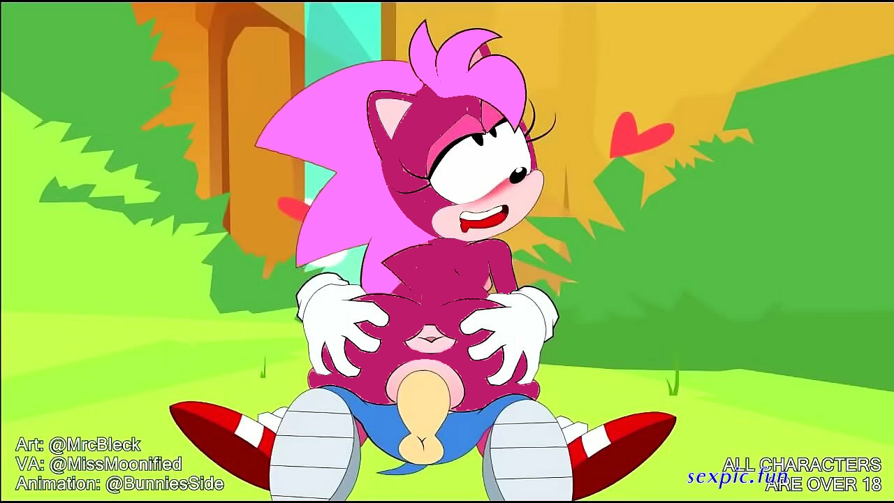 Sonia The Hedgehog (Sega) Rule 34 Image