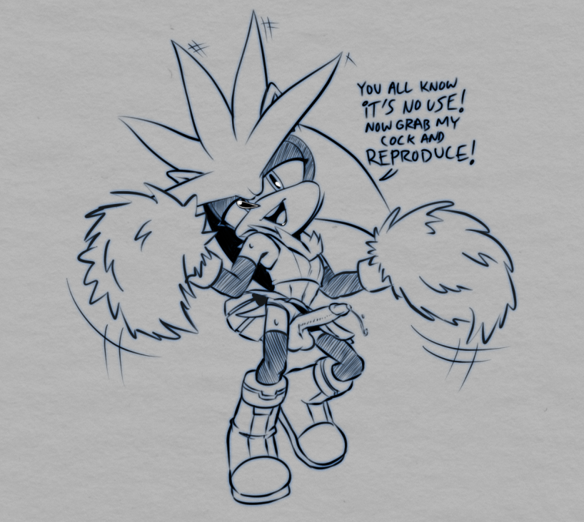 Silver The Hedgehog (Sega) Rule 34 Image