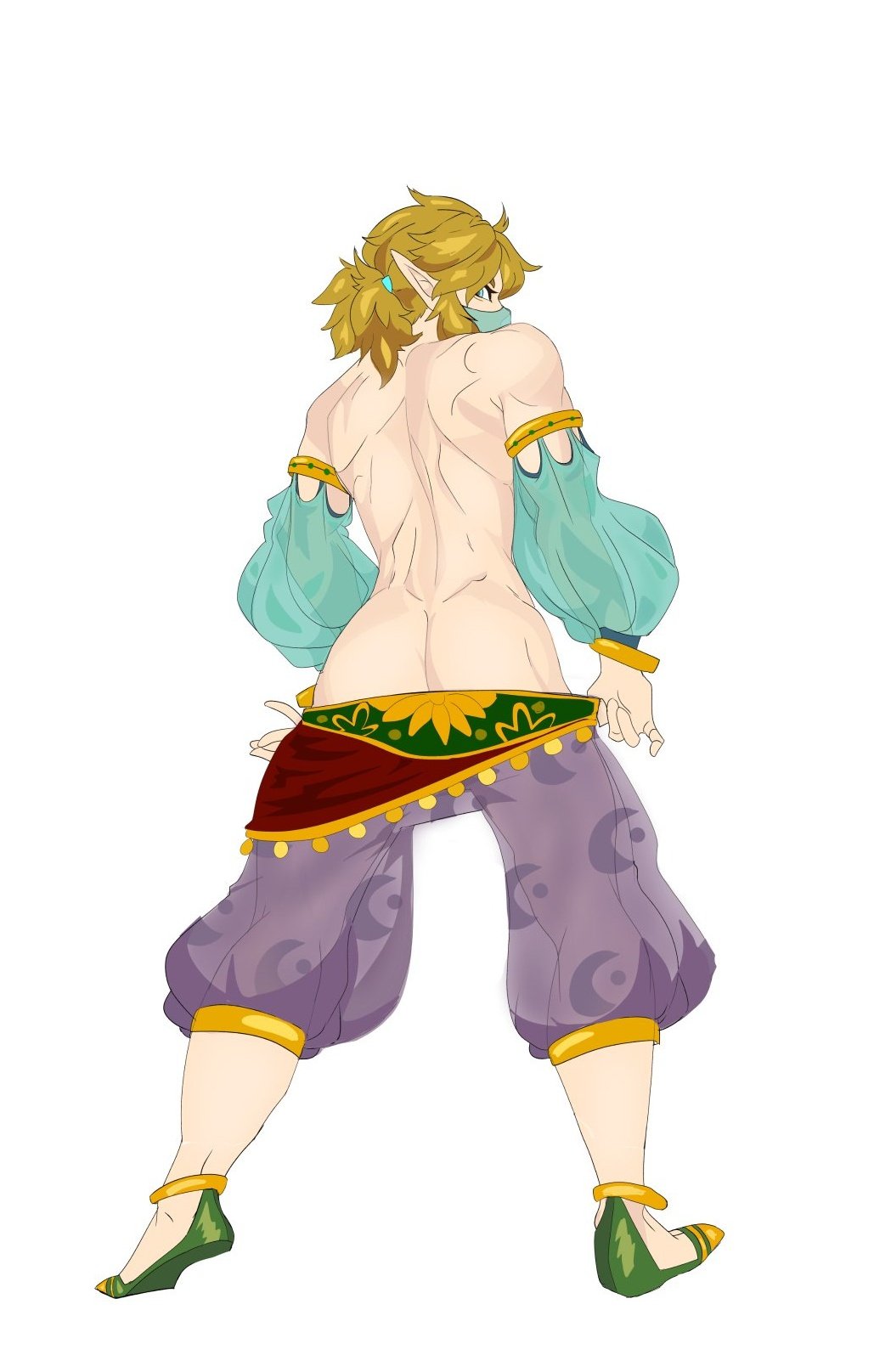 Gerudo Link (Breath Of The Wild) Rule 34 Image