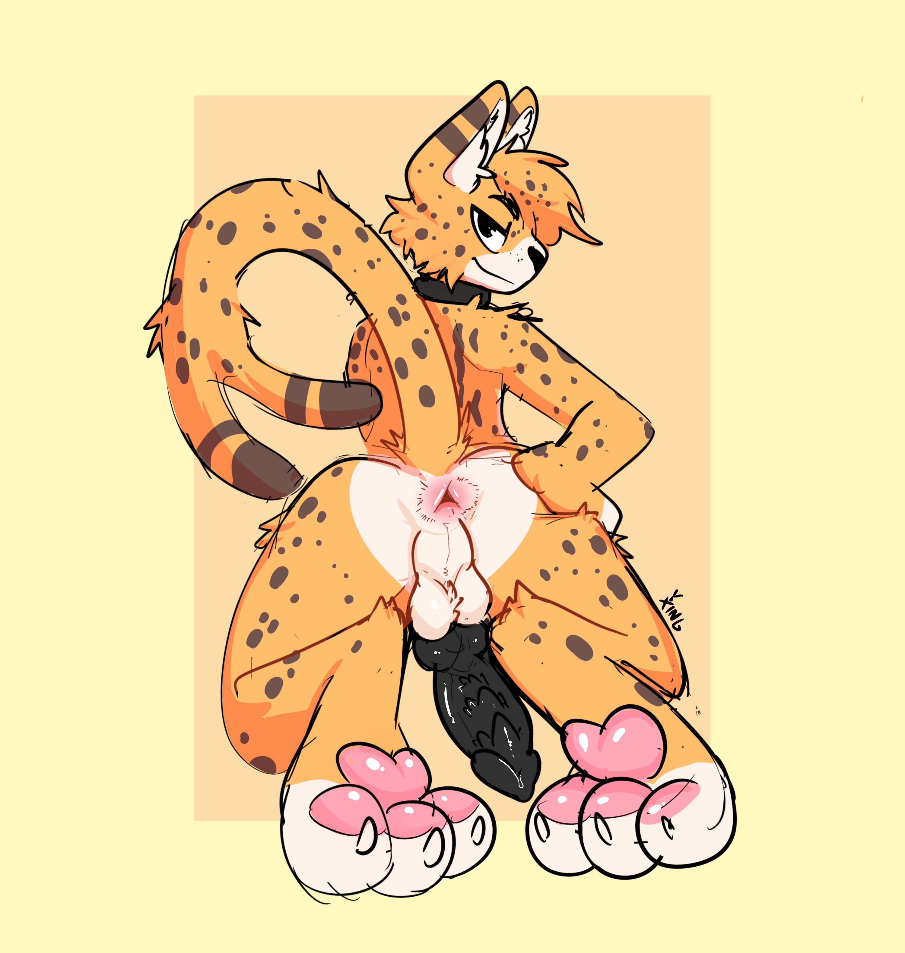 2022 Rule 34 Image
