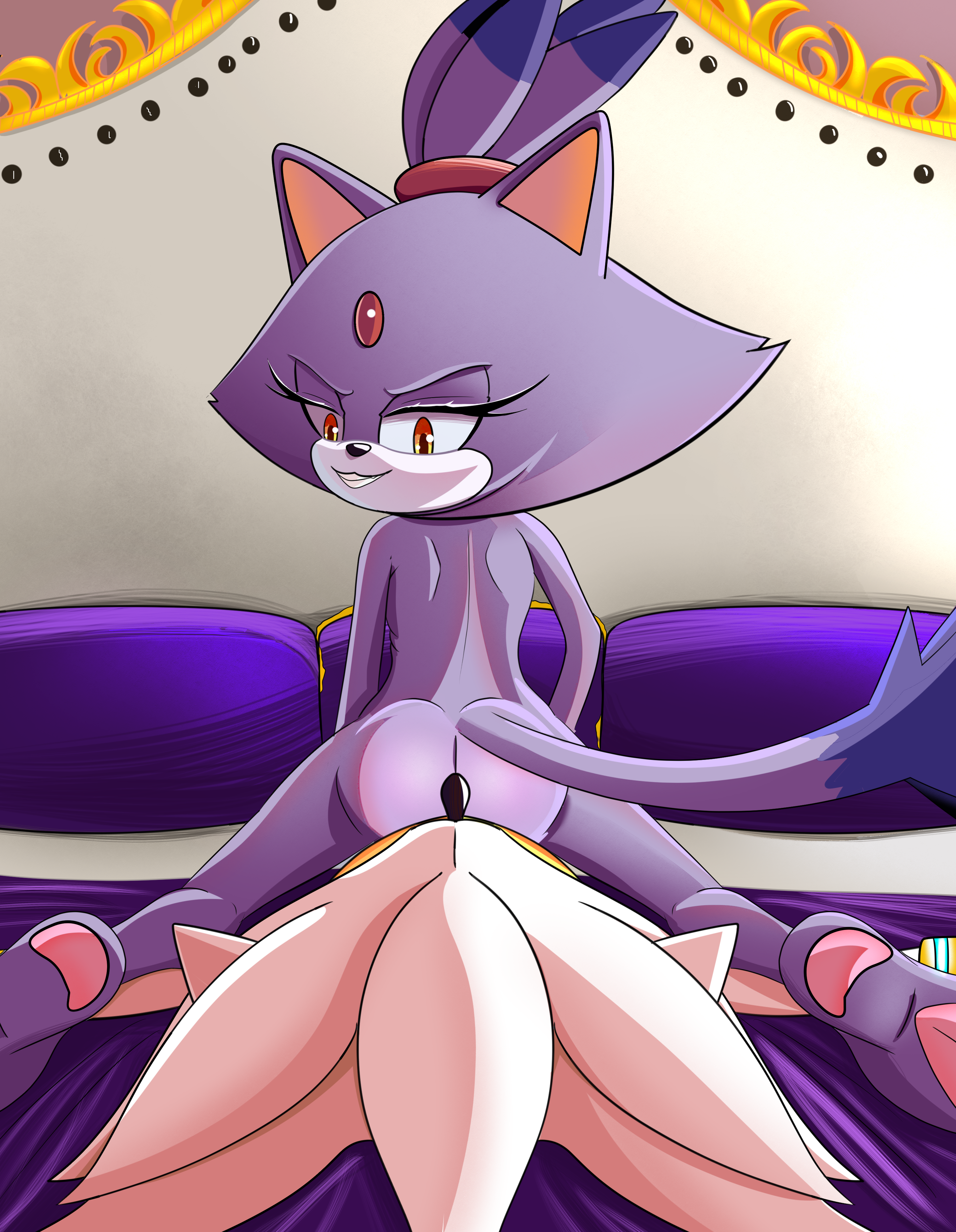 Blaze The Cat (Sega) Rule 34 Image