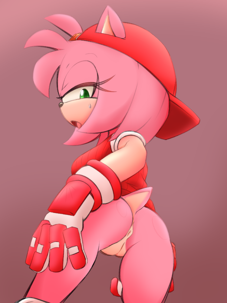 All-Star Amy (Sonic (Series)) Rule 34 Image