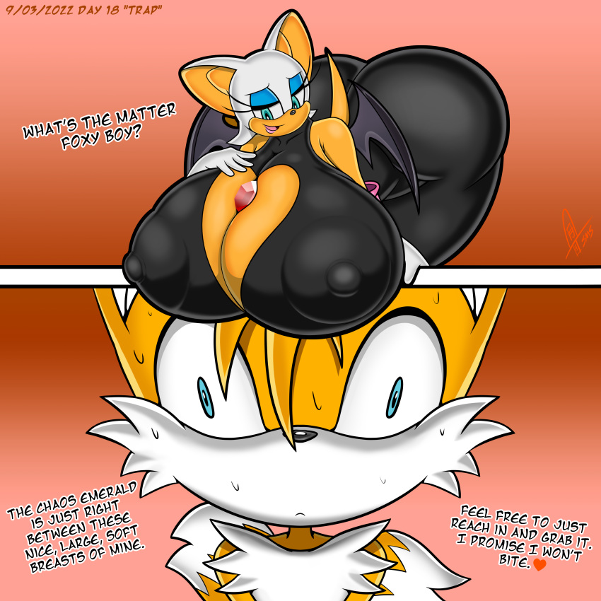 Sonic (Series) Rule 34 Image
