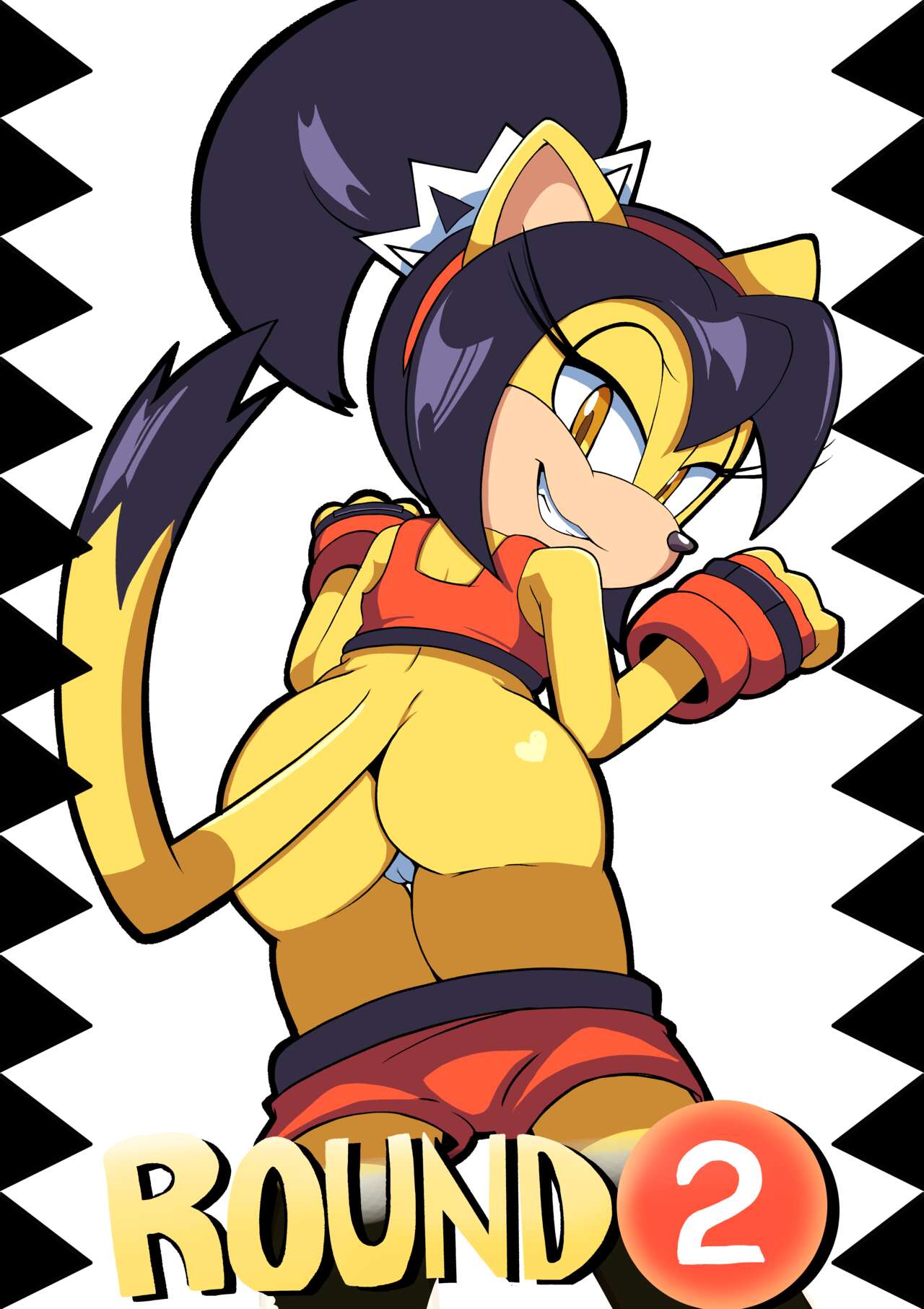 Honey The Cat (Sega) Rule 34 Image