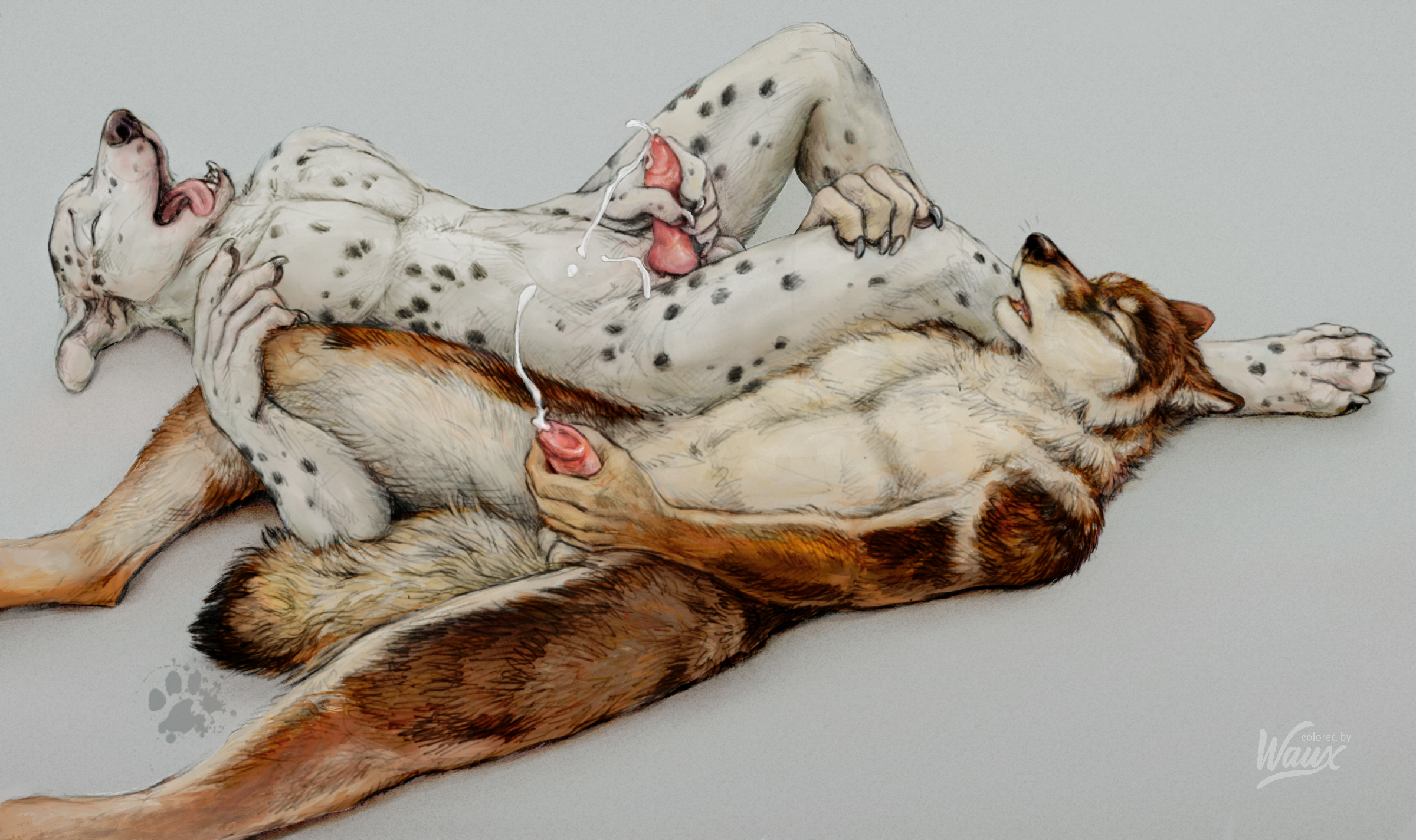 Animal Genitalia Rule 34 Image