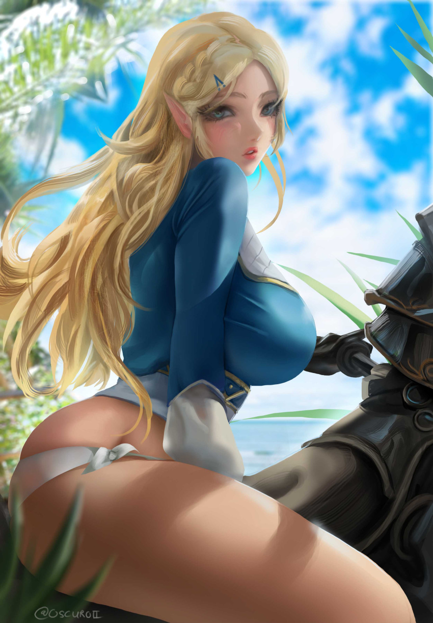 Princess Zelda (Breath Of The Wild) Rule 34 Image