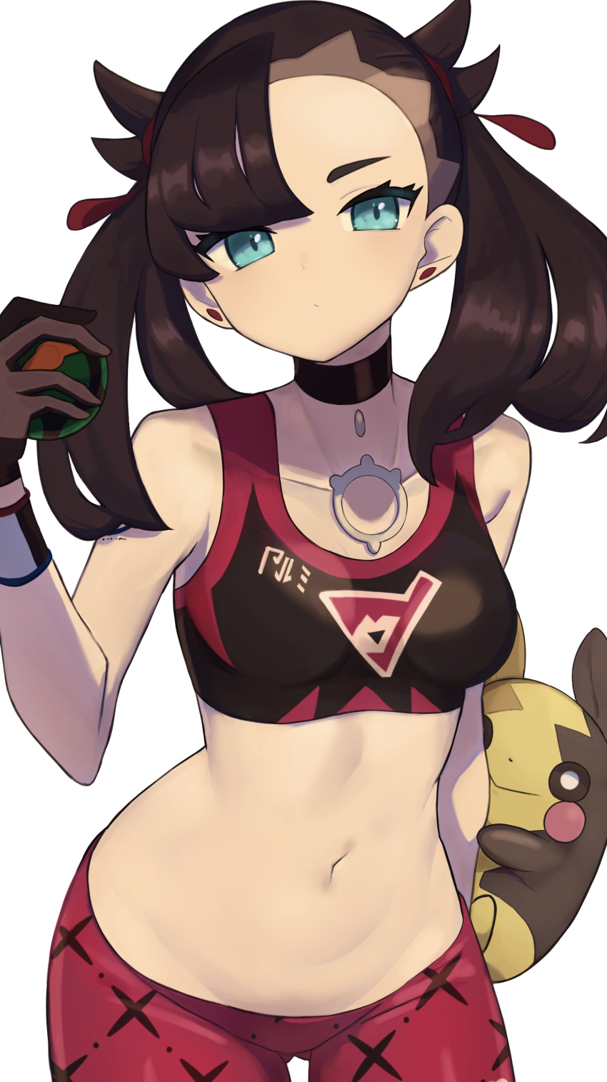 Gen 8 Pokemon (Nintendo) Rule 34 Image