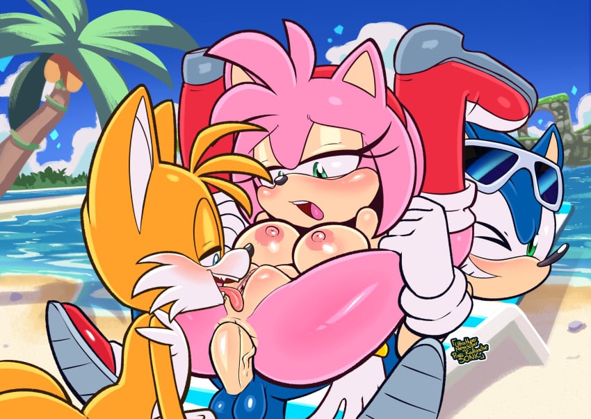 Amy Rose (Sega) Rule 34 Image