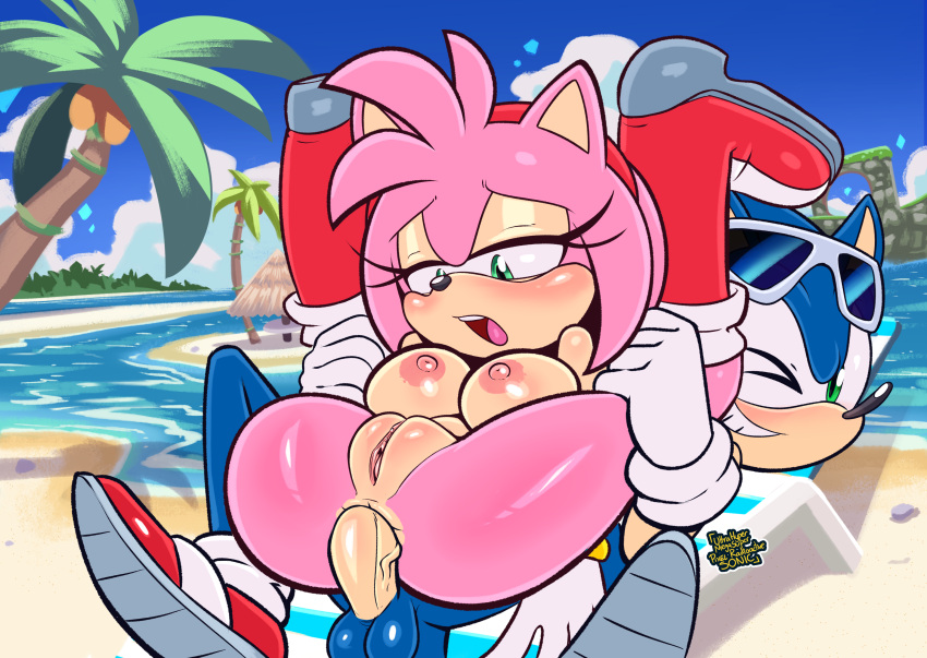 Amy Rose (Sega) Rule 34 Image