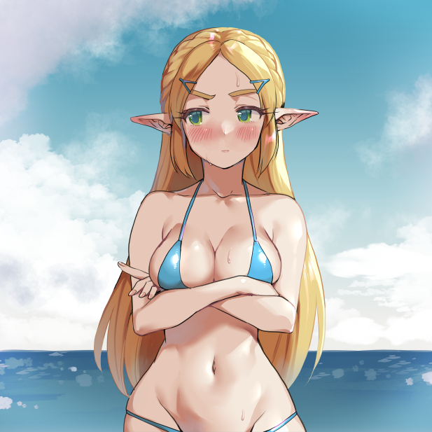 Princess Zelda (Breath Of The Wild) Rule 34 Image
