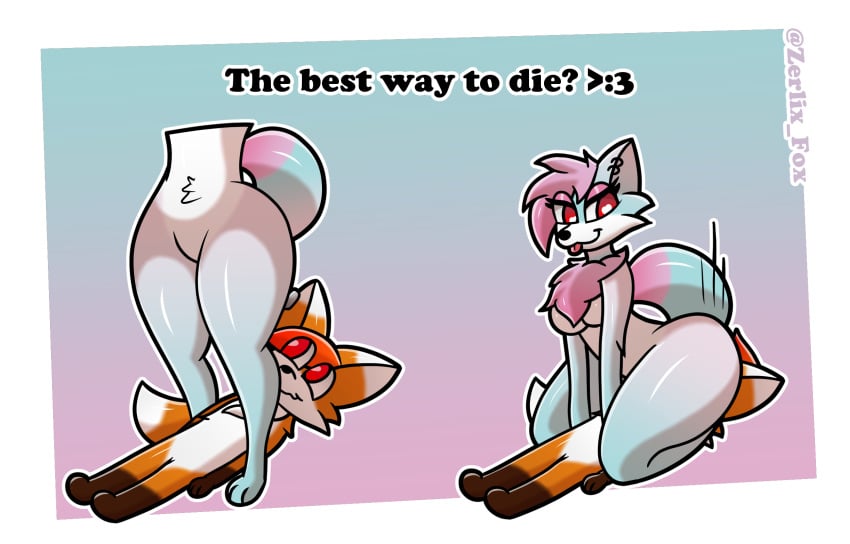 Zerlix Fox (Character) Rule 34 Image