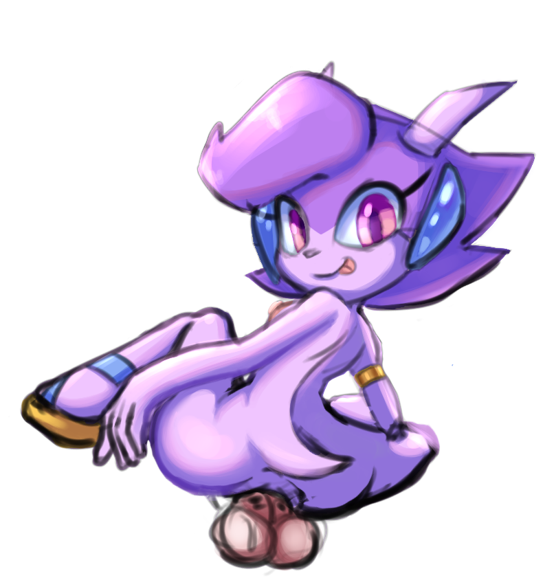 Sash Lilac (Freedom Planet) Rule 34 Image