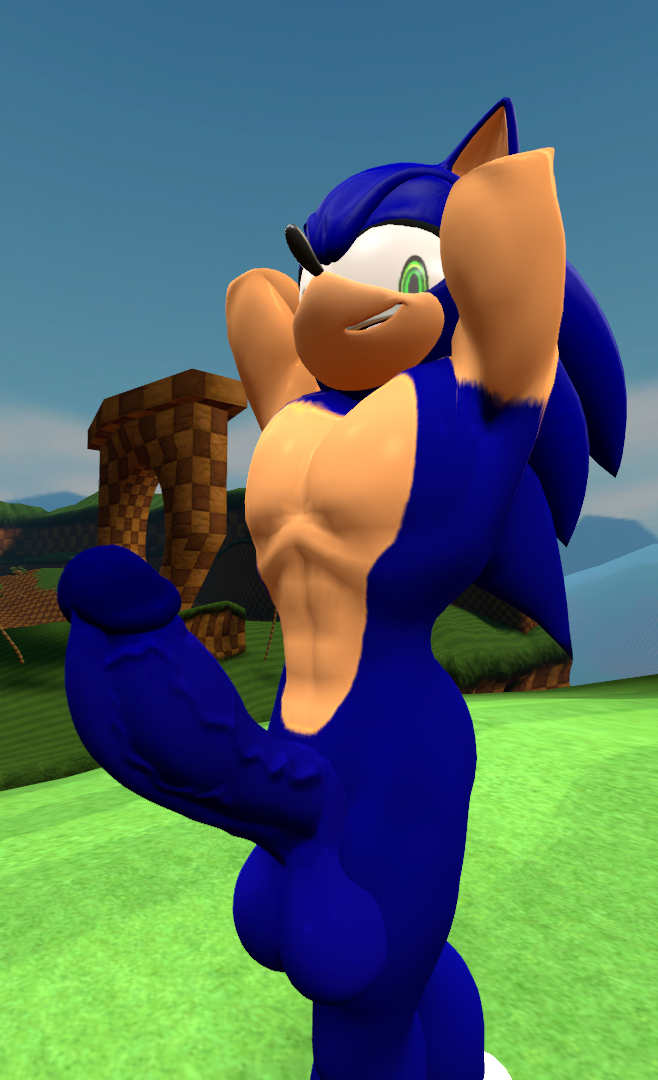 Sonic The Hedgehog (Sega) Rule 34 Image