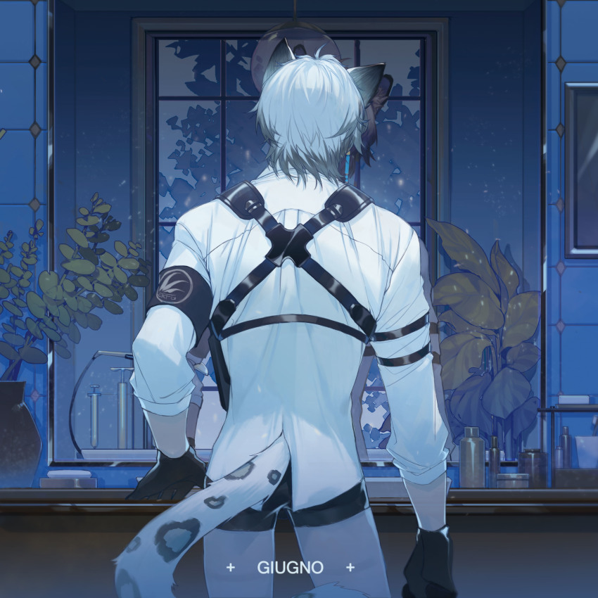 Silverash (Arknights) Rule 34 Image