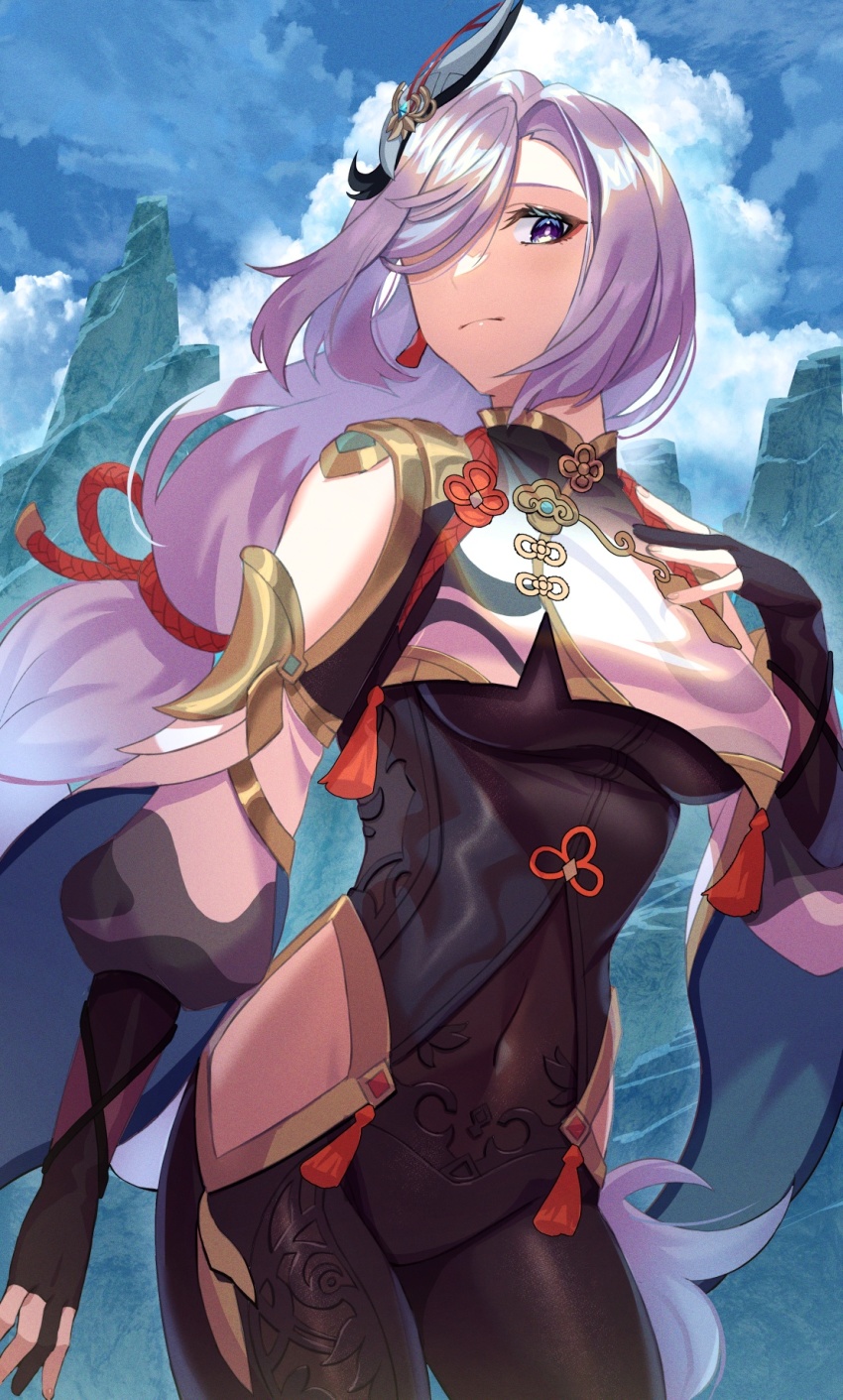 Shenhe (Genshin Impact) Rule 34 Image
