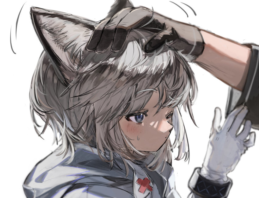 Doctor (Arknights) Rule 34 Image